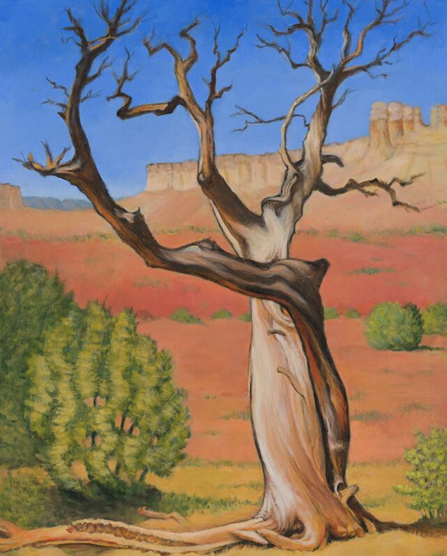 Ghost Ranch Tree #1 Acrylic on Canvas 18 x 24