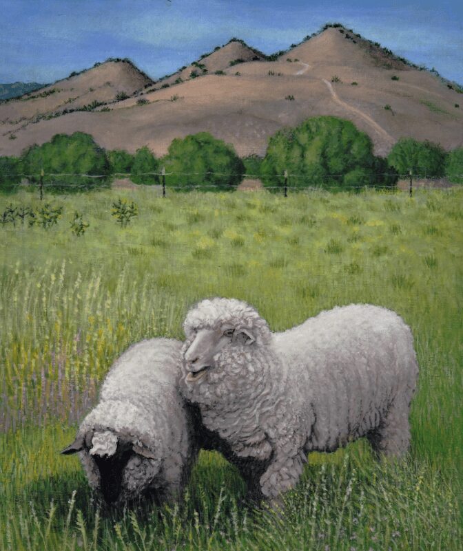 Sheep Grazing Acrylic on Canvas 18 x 24