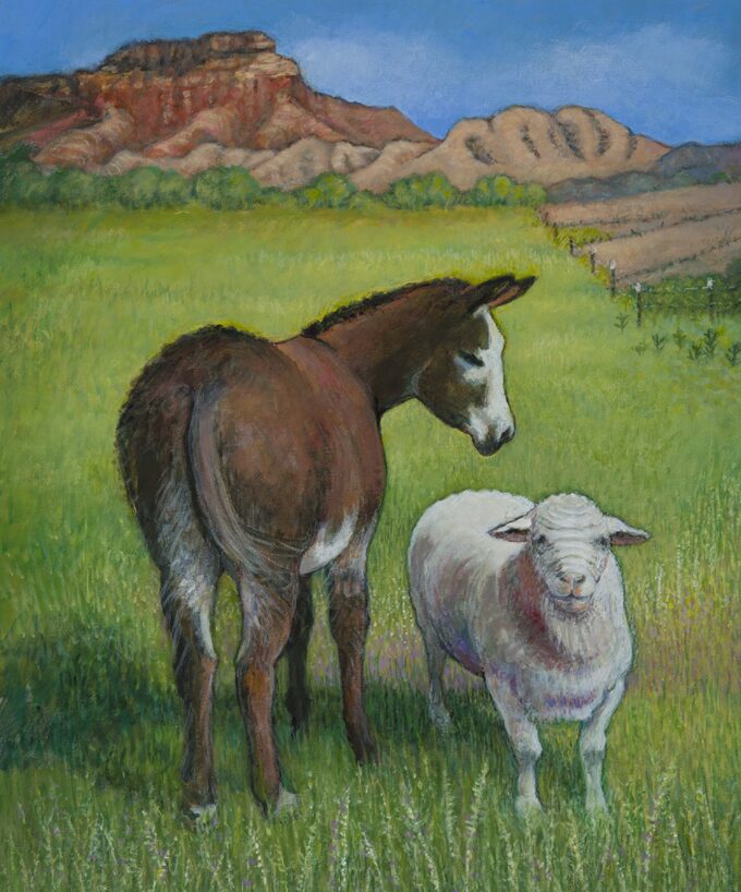 “Buddies” A donkey and a sheep