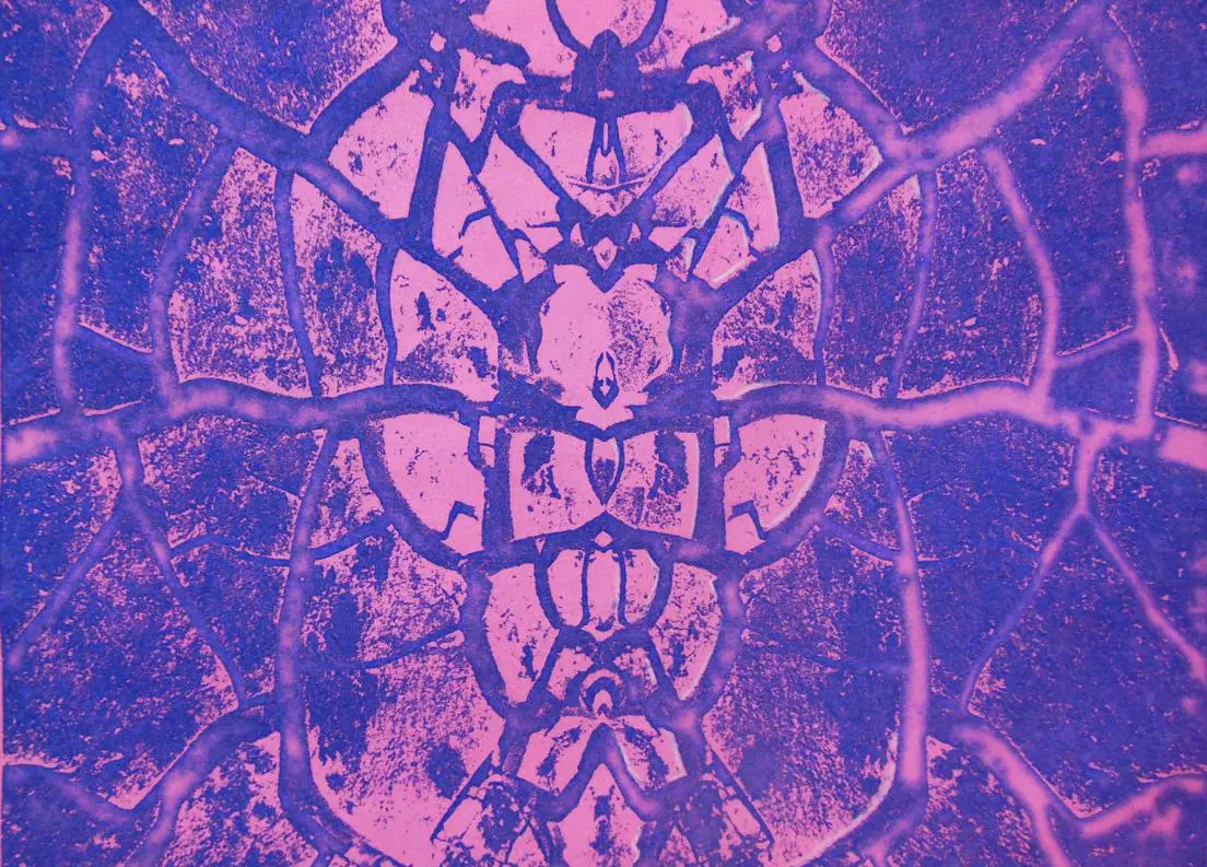 Butterfly Abstract Size: 8 x 10 (purple)